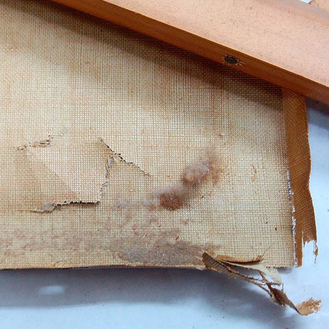 Otro #reto para #restaurar una #tela rota y desgarrada de una #pinturaaloleo Está muy #deshidratada y #quebradiza