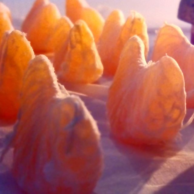 Colores y formas naturales