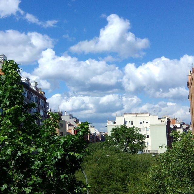 Buenos días! ;-) #årboles y #hojasverdes agradecidos y brillantes después de días de #lluvia #cielos #azules intensos y nubes bien #blancasSon los #colores de la #naturaleza#artenatural #airelimpio #barcelona