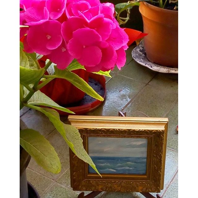 Hortensia con marina enmarcada