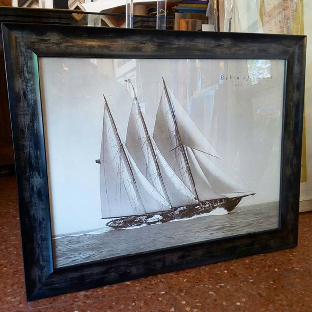 13739381_1135324333207649_16079540_n