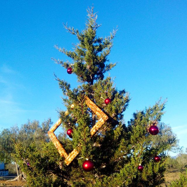 Árboles de navidad con marco.