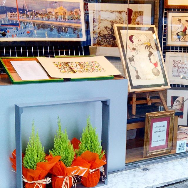 Ciprés limón y escaparate