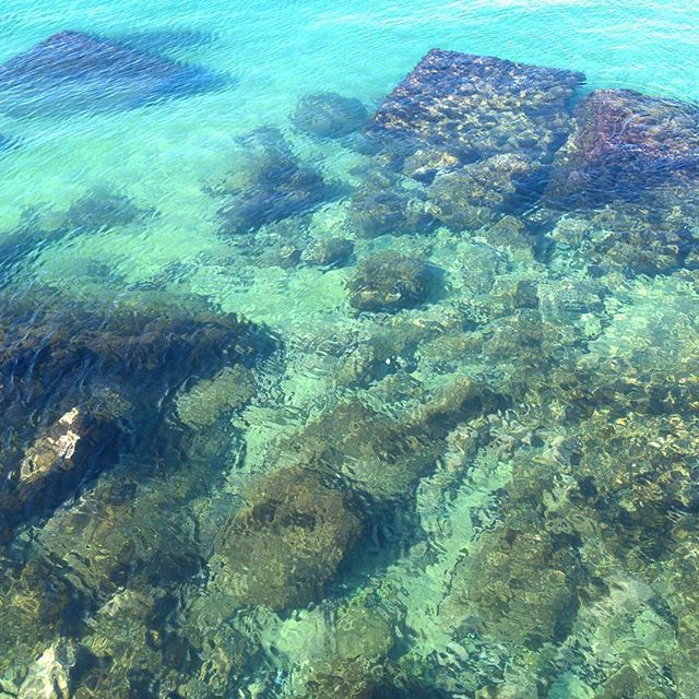 Naturaleza y arte efímero.