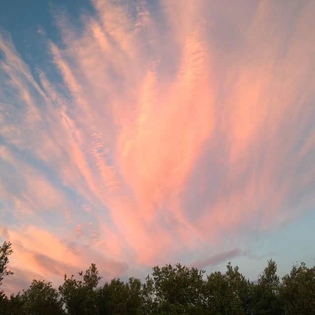 1 Mayo. Día del Trabajador