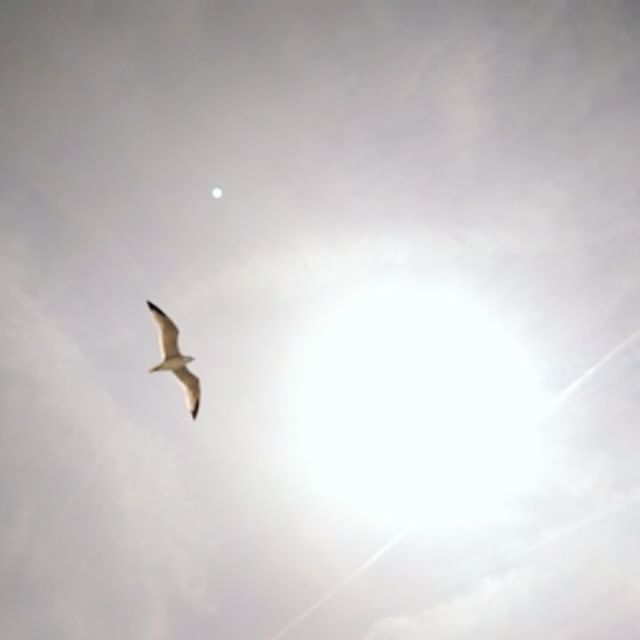 Máximo rendimiento. Mínimo esfuerzo