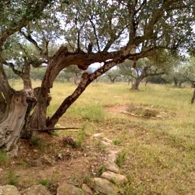 Tierra y agua: Naturaleza viva