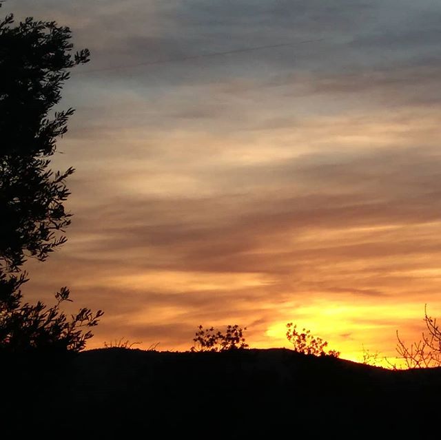 Paisaje, Naturaleza y Arte