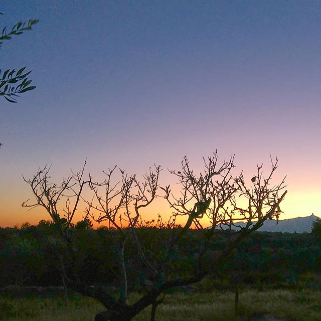 Últimas luces de 2018