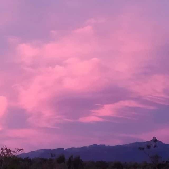 Empezar la semana viendo cuadros