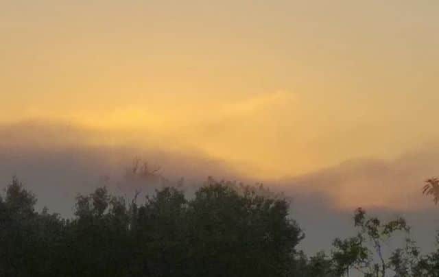 Paisaje natural. Amanecer, sol y niebla