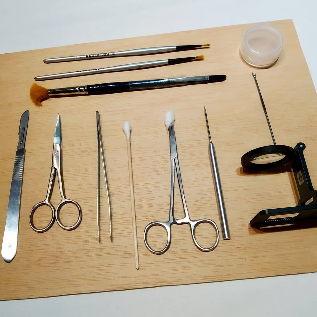 Instrumentos de restauración