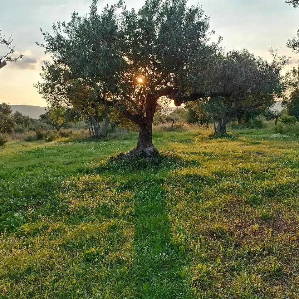 Hasta siempre! Esteve Enmarcadores