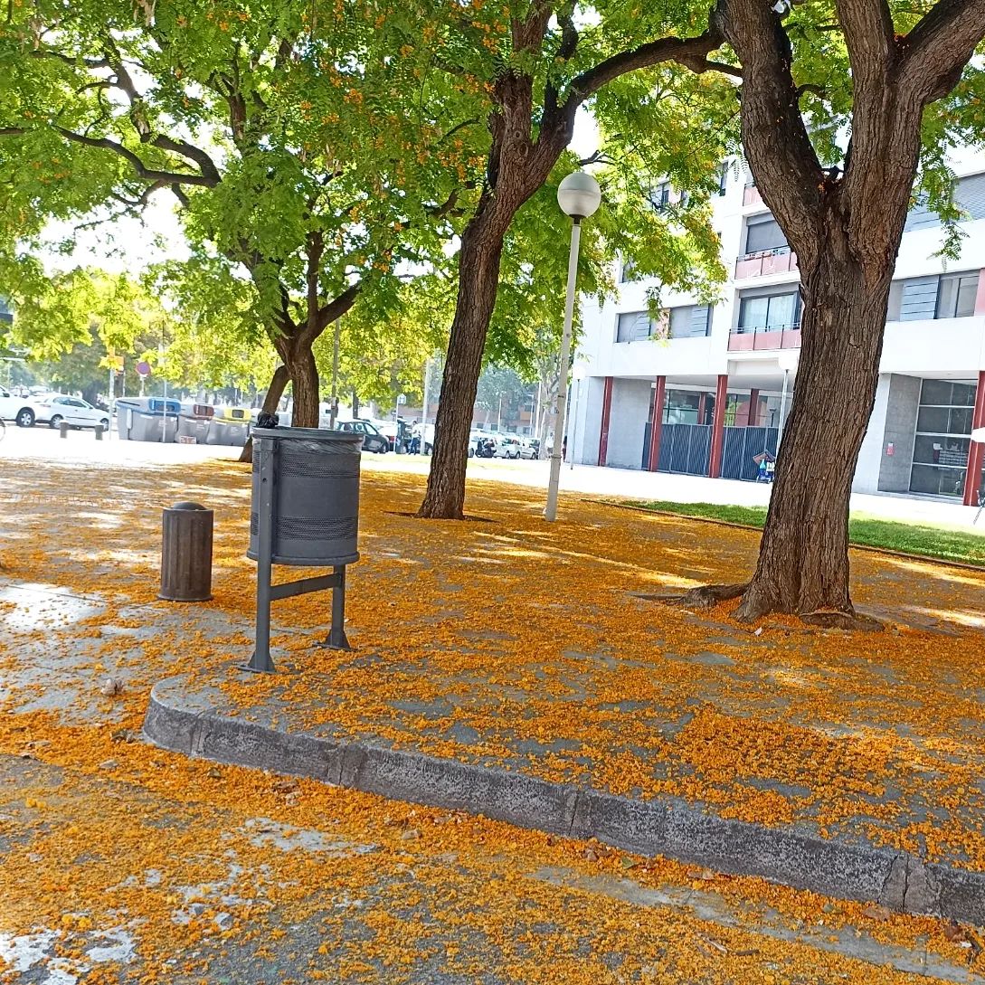 Colores de la naturaleza