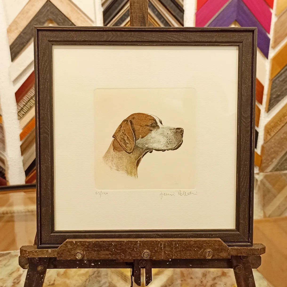 Grabados de perros enmarcados