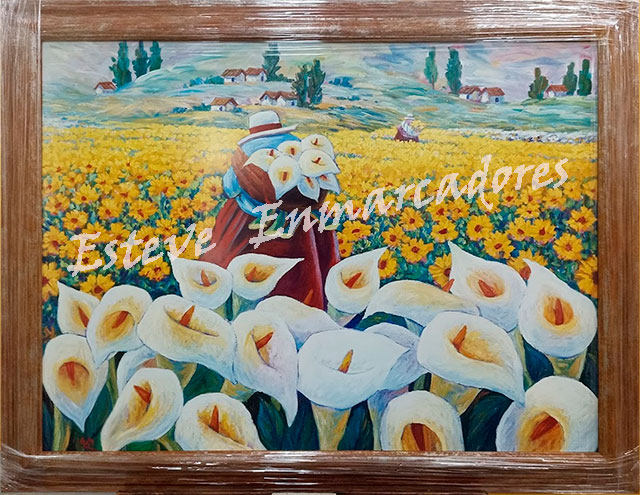 Campo de calas con marco